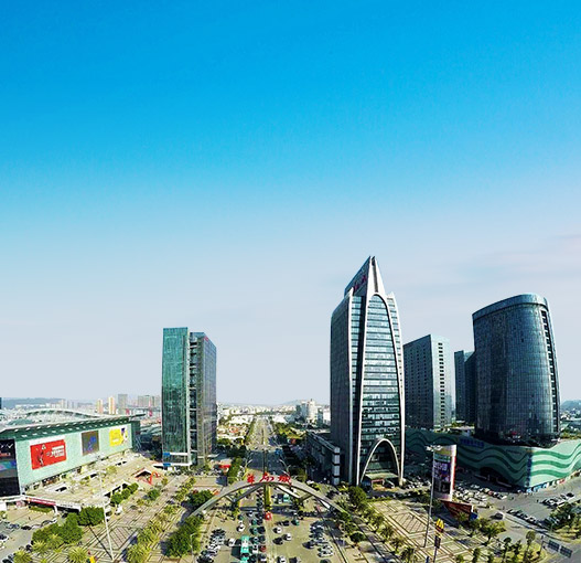 Shenzhen South China City