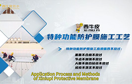 Application Process and Methods of Xiniupi Protective Membrane