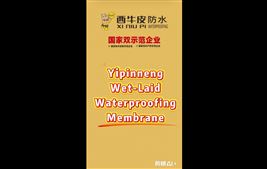 Yipinneng Wet-Laid Waterproofing Membrane
