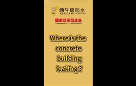 Three Key Questions About Waterproofing