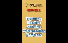 One product is versatile get the whole scene waterproofing of concrete buildings