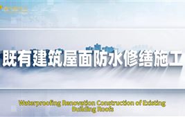Waterproofing Renovation Construction of Existing Building Roofs